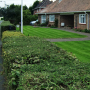 hedge laying in norfolk