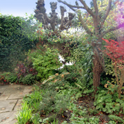 edging service in suffolk