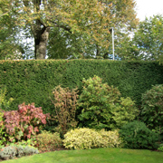 garden maintenance in norfolk