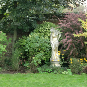 pruning service in norfolk